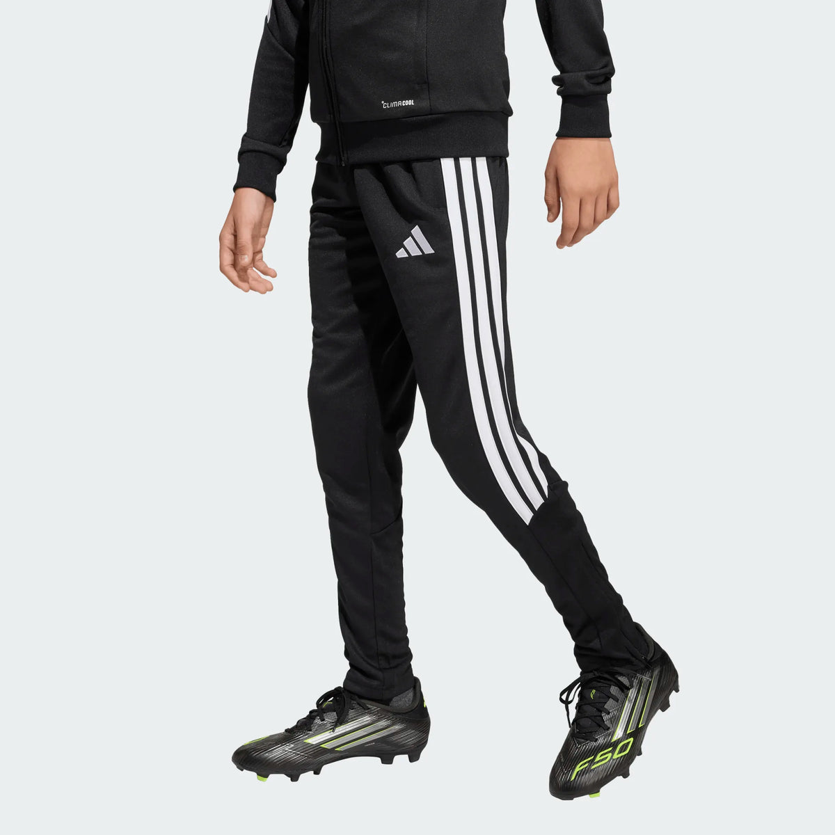 Tiro26 League Training Pants - TSV Zebra-Kit